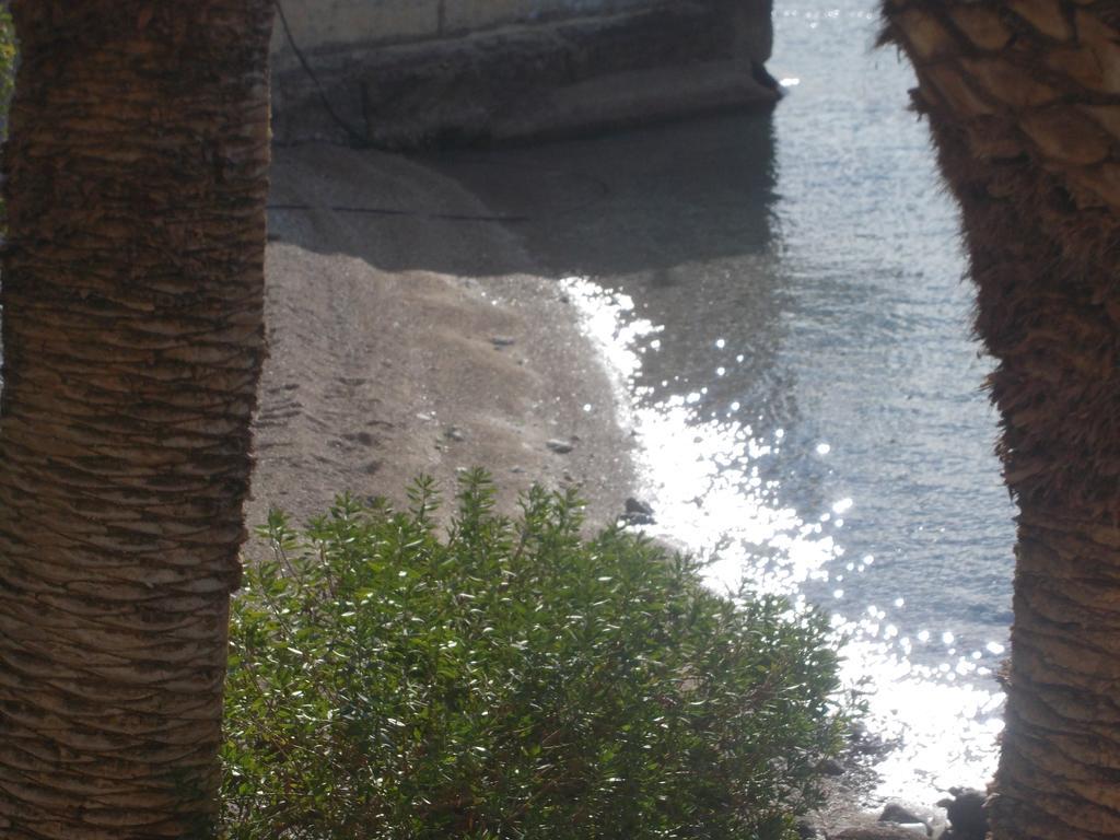 Hotel Theoxenia لوتراكي المظهر الخارجي الصورة